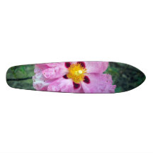 Skate da flor do ponto