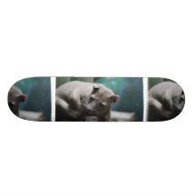 Skate da fossa