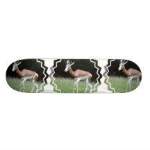 Skate da gazela de Mhorr