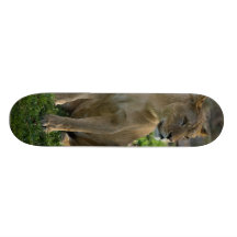 Skate da leoa