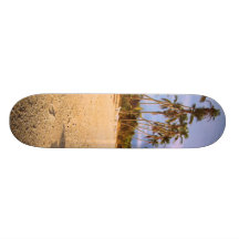 Skate da palmeira