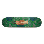 Skate da ram do Aoudad