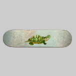 Skate da tartaruga do jade skates