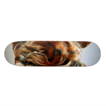 Skate de Yorkie