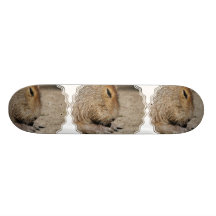 Skate do Capybara