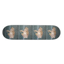 Skate do comedor de rãs de Feelin
