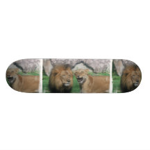 Skate do leão da mamã e do pai