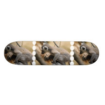 Skate do Lemur do bebê