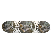 Skate do Lemur Ringtailed do bebê
