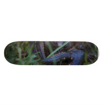 Skate do lurker