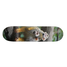 Skate do macaco de esquilo do bebê