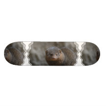 Skate do mangusto