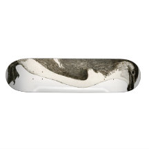 Skate do pinguim