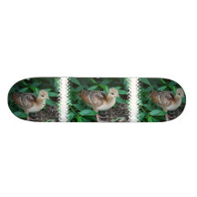 Skate do pintinho do pavão do bebê