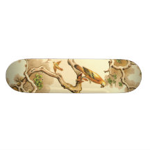 Skate do predador e da rapina