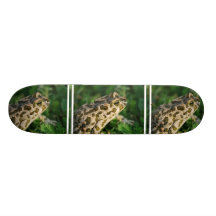 Skate do sapo
