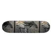 Skate do Tapir de Brazillian