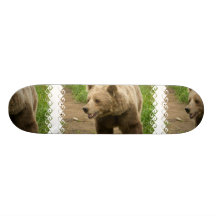 Skate do urso