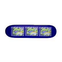 Skate feericamente