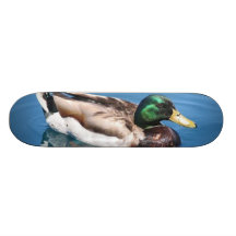 Skate masculino do pato