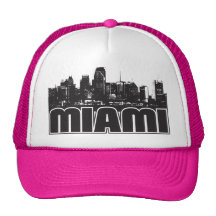 Skyline de Miami Bonés