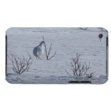 Snacking do lagópode dos Alpes Capa iPod Touch Case-Mate