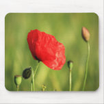 Solteiro 2 da papoila mouse pad