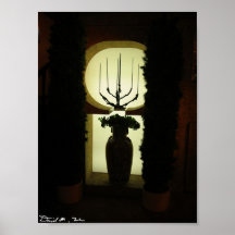 Sombra do vaso poster