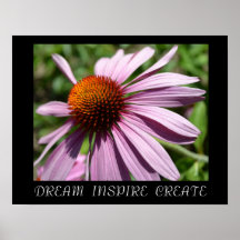 Sonhe, inspire, criar o poster do Echinacea