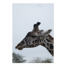 Sonhos 5 do safari fotografia