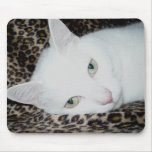 Sonhos do gato grande mouse pad