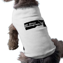 Sr. camiseta de cão roupa pet