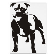 Staffy Cartoes