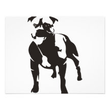 Staffy Convite Personalizado