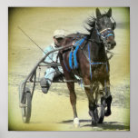 Standardbred Pôsteres