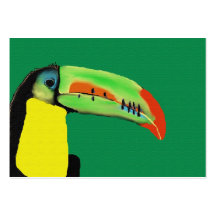 Sul - Toucan tropical americano Mousepad Cartões De Visita