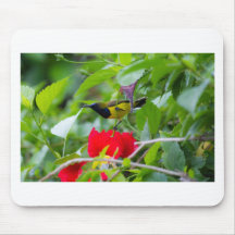 Sunbird Mouse Pad