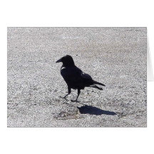 supervisor do parque de estacionamento… cartões