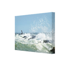 Surf selvagem no molhe impressão em canvas