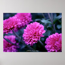 Surpresa cor-de-rosa da mãe poster