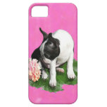 sweetpee capas iPhone 5