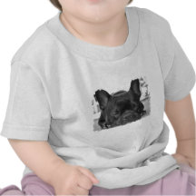 T-shirt do bebê do buldogue francês
