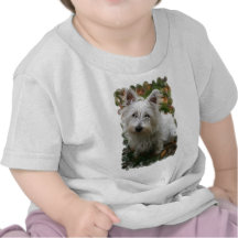 T-shirt ocidental do bebê de Terrier das montanhas