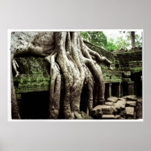 Ta Prohm No2 Pôsteres