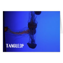 TANGLED? CARTÕES