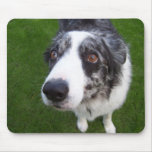 tapete do rato do cão mousepads