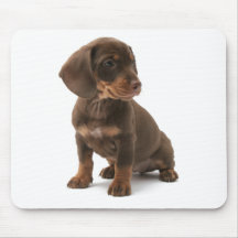 Tapete do rato do filhote de cachorro do Dachshund Mouse Pad
