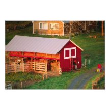 Tarefas da manhã na fazenda. EUA, Vermont, Fotografias