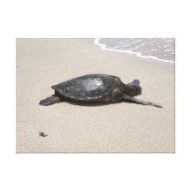 Tartaruga de mar em canvas da praia impressão em canvas