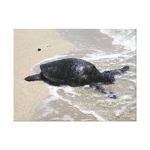 Tartaruga de mar em canvas da praia impressão de canvas esticada